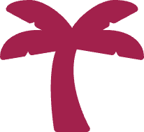 palm tree vacation