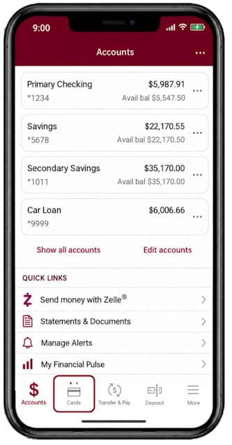 Card Control manager app - screenshot